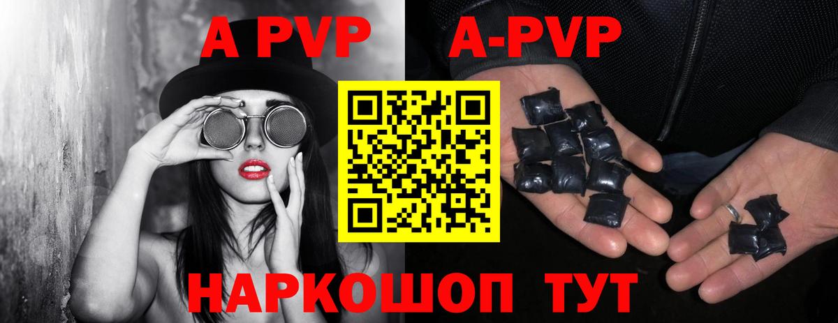 A PVP СК КРИС Петровск