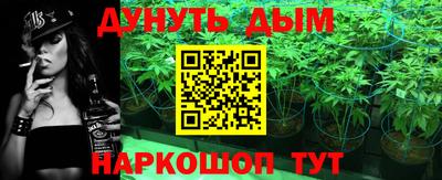 СК Кингисепп