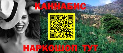 СК Кингисепп