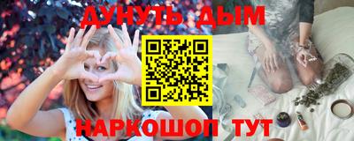 СК Кингисепп