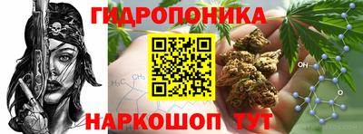 mdpv Кимры