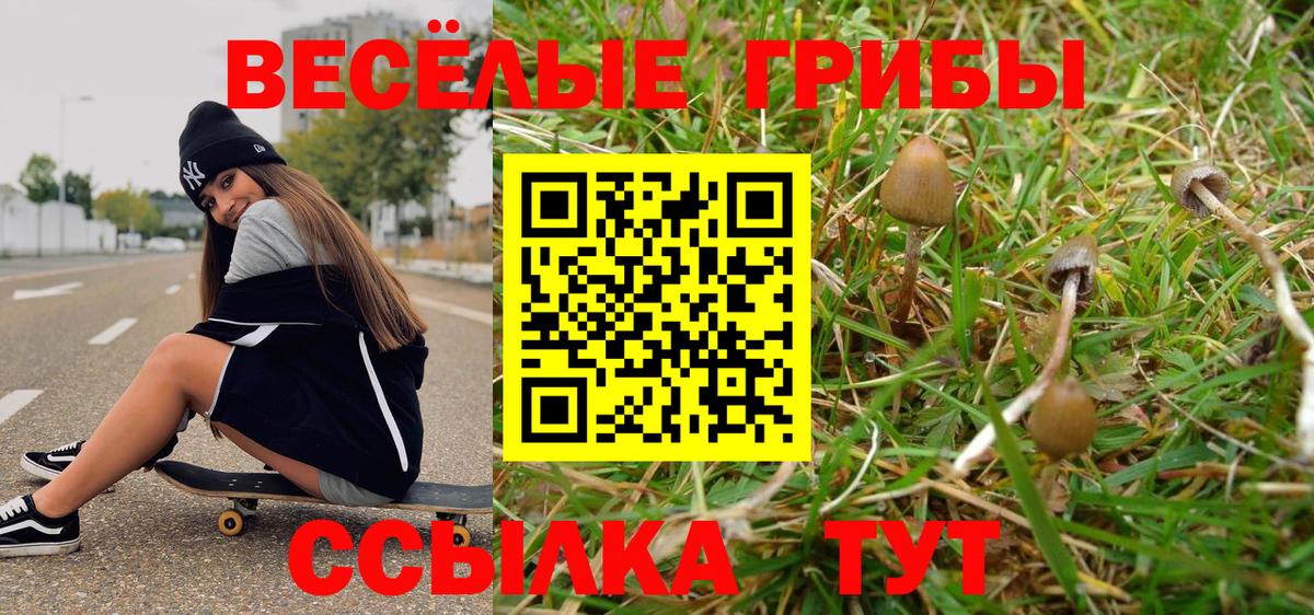 Петровск  Псилоцибиновые грибы мицелий  Вход с VPN  Галлюциногенные грибы мухоморы 
